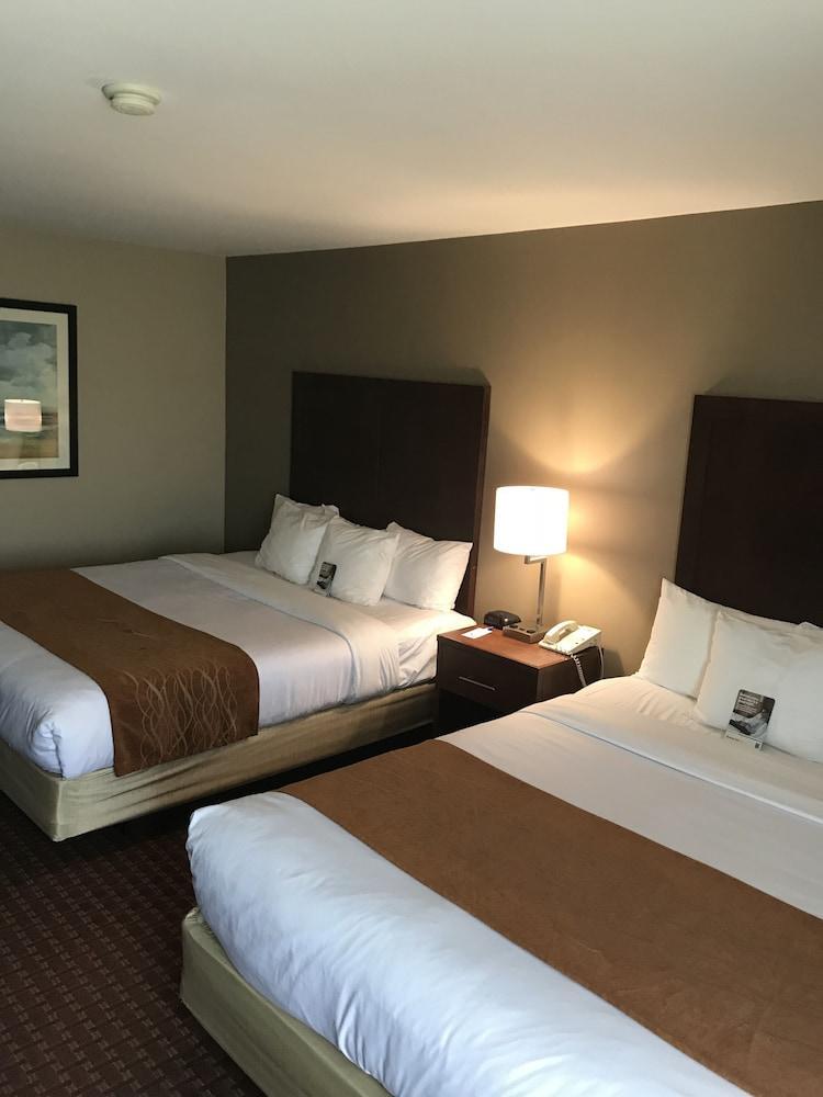 Comfort Inn Silicon Valley East Fremont Extérieur photo
