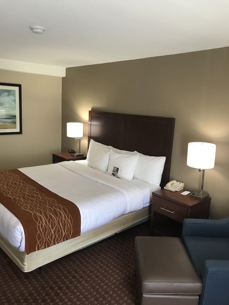 Comfort Inn Silicon Valley East Fremont Extérieur photo