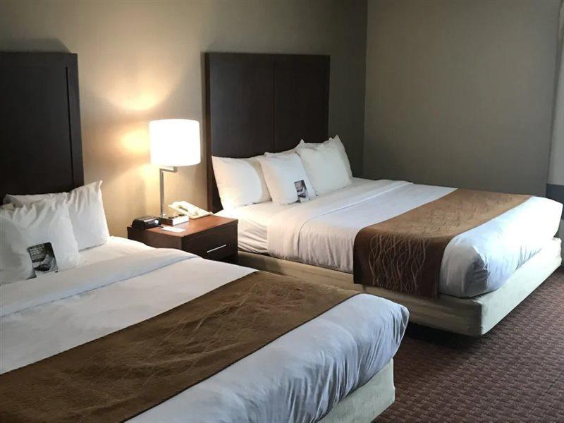 Comfort Inn Silicon Valley East Fremont Extérieur photo