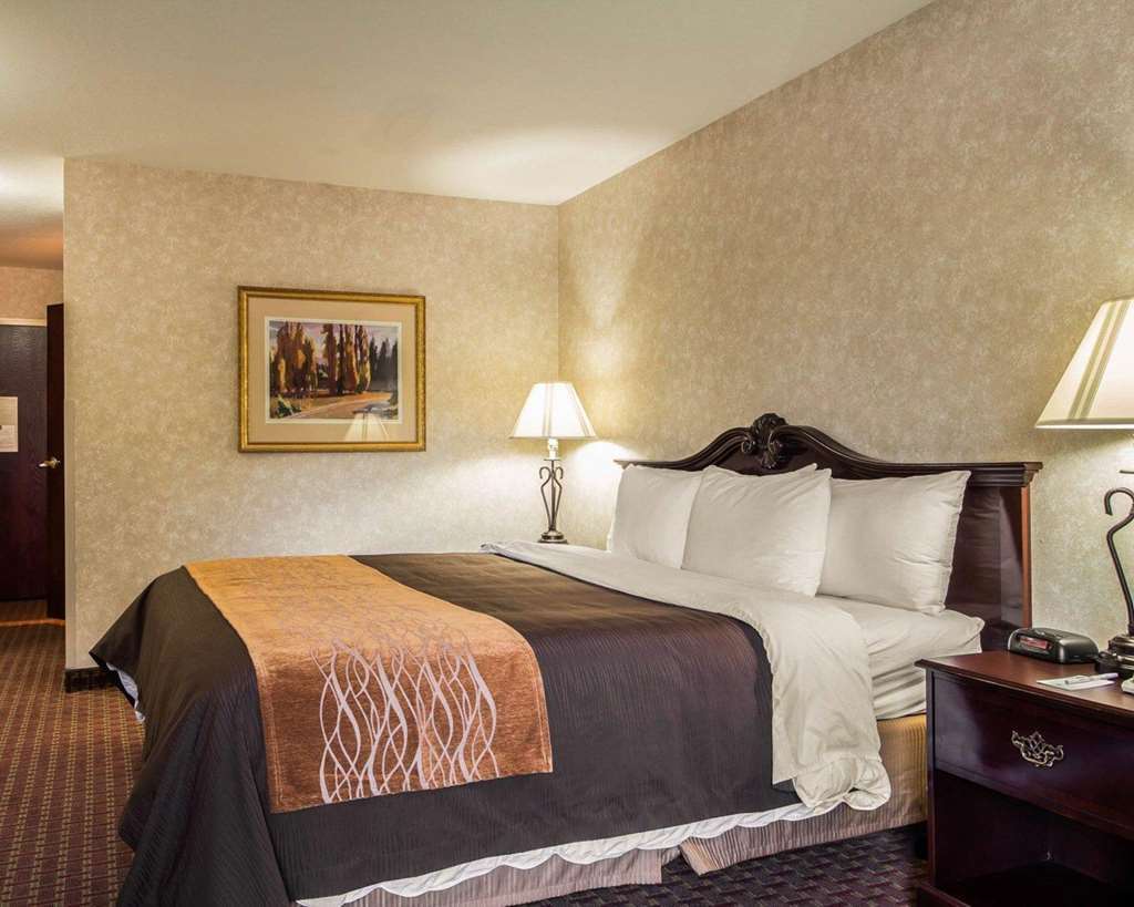 Comfort Inn Silicon Valley East Fremont Chambre photo