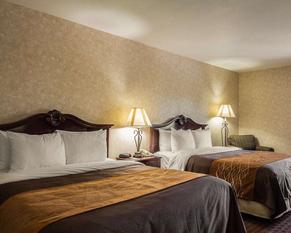 Comfort Inn Silicon Valley East Fremont Chambre photo