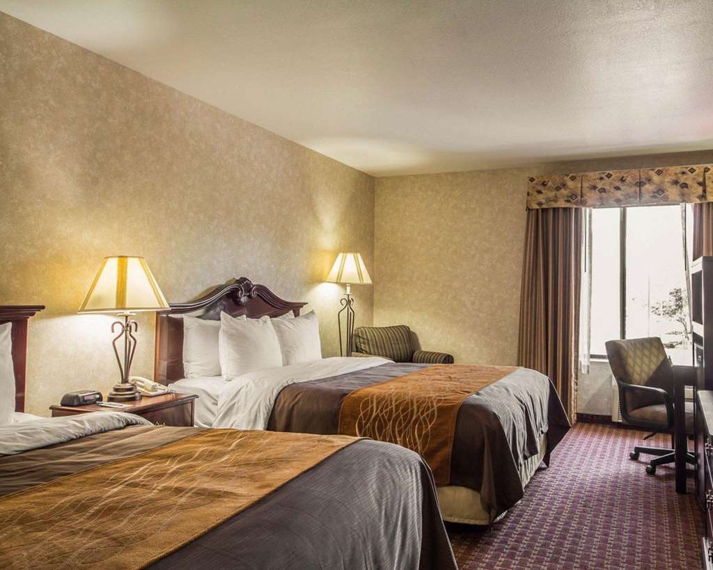 Comfort Inn Silicon Valley East Fremont Chambre photo
