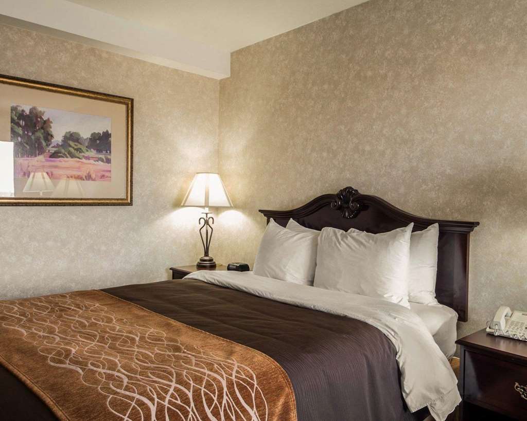 Comfort Inn Silicon Valley East Fremont Chambre photo