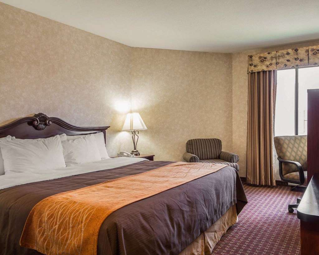 Comfort Inn Silicon Valley East Fremont Chambre photo