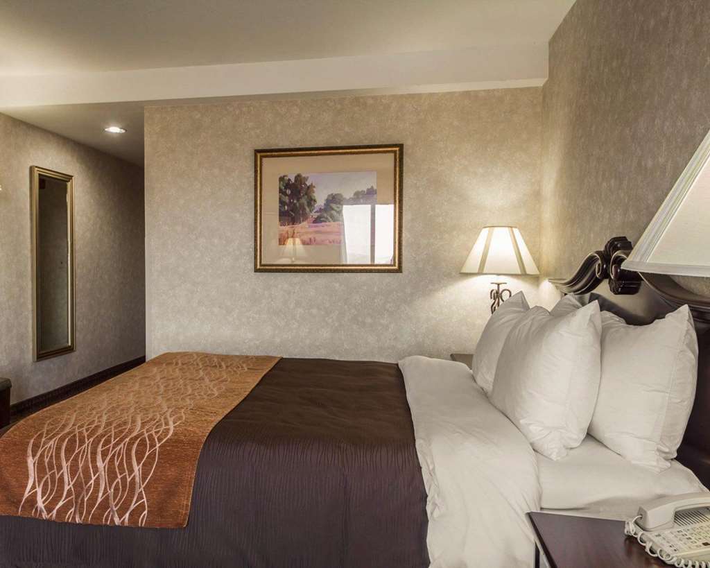 Comfort Inn Silicon Valley East Fremont Chambre photo