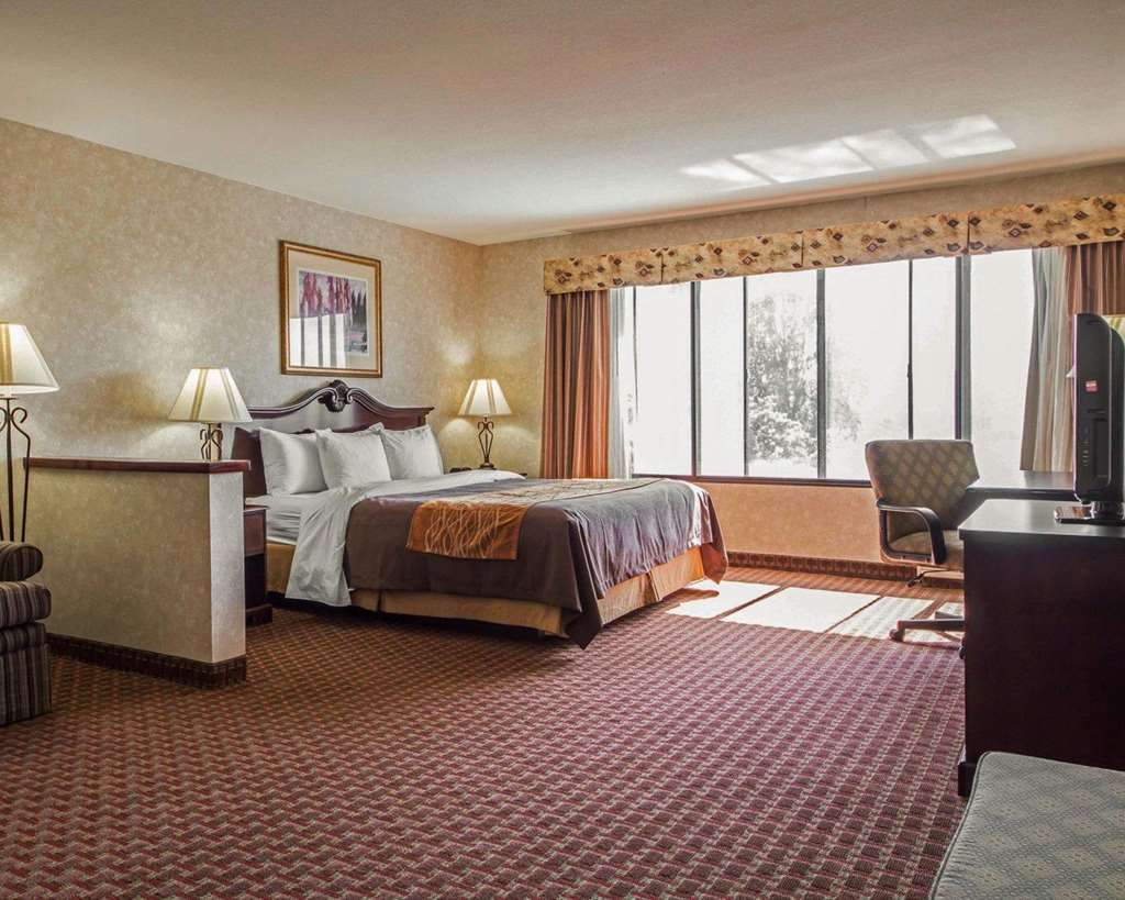 Comfort Inn Silicon Valley East Fremont Chambre photo