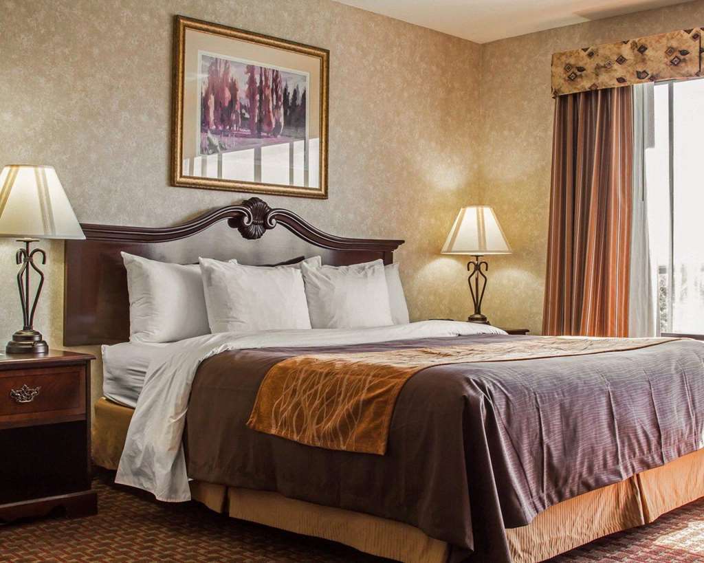 Comfort Inn Silicon Valley East Fremont Chambre photo