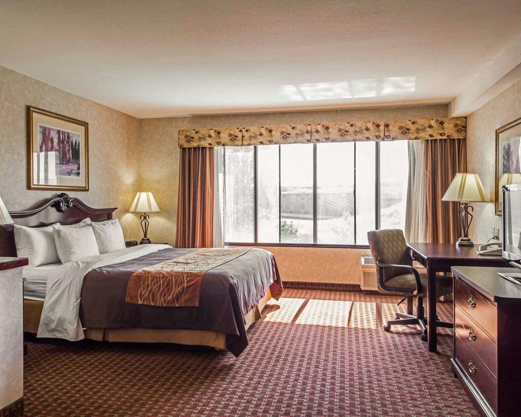 Comfort Inn Silicon Valley East Fremont Chambre photo